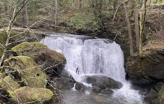 Whatcom Falls